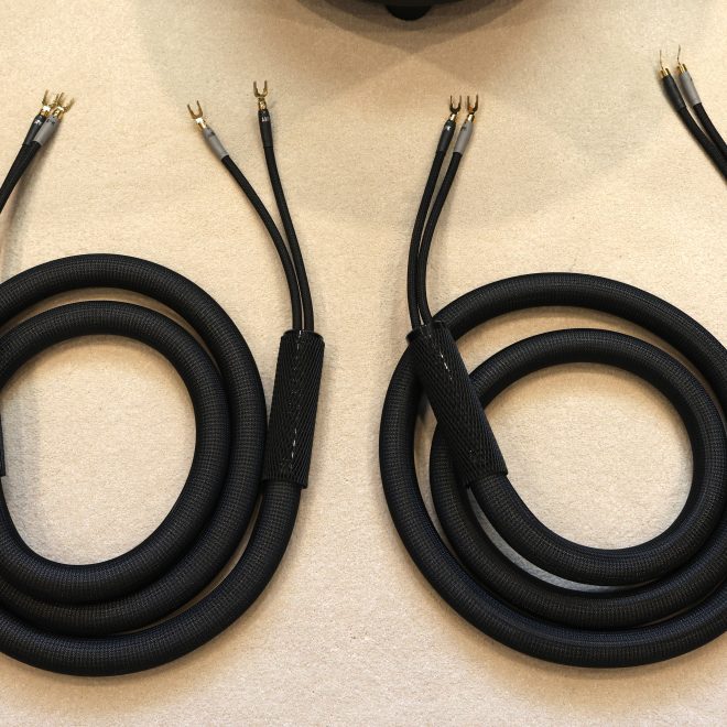 Shunyata Research Alpha X Speaker Cable @ Audio Therapy