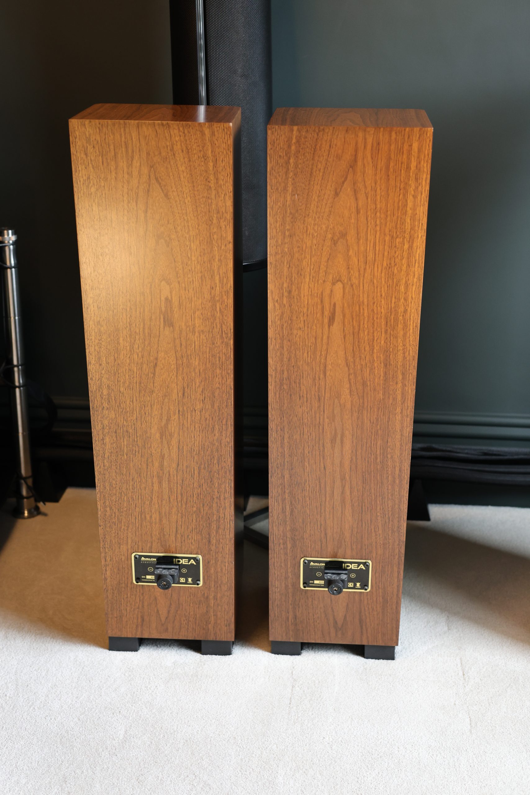Avalon Idea mk2 Loudspeakers @ Audio Therapy