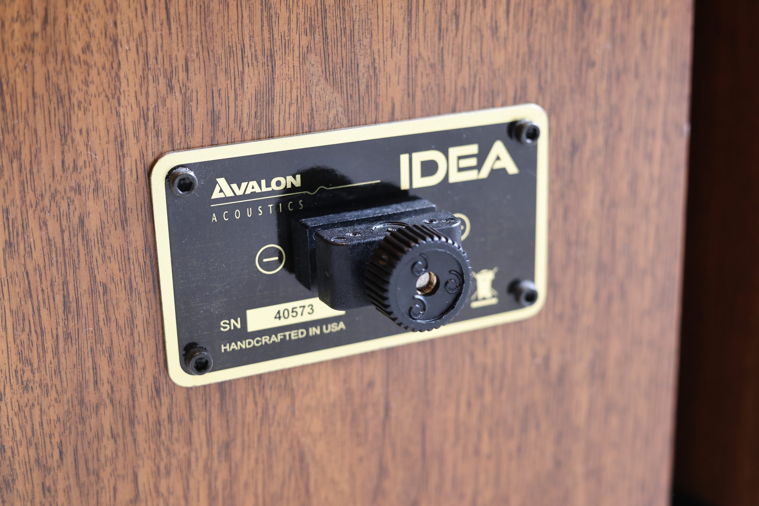 Avalon Idea mk2 Loudspeakers @ Audio Therapy