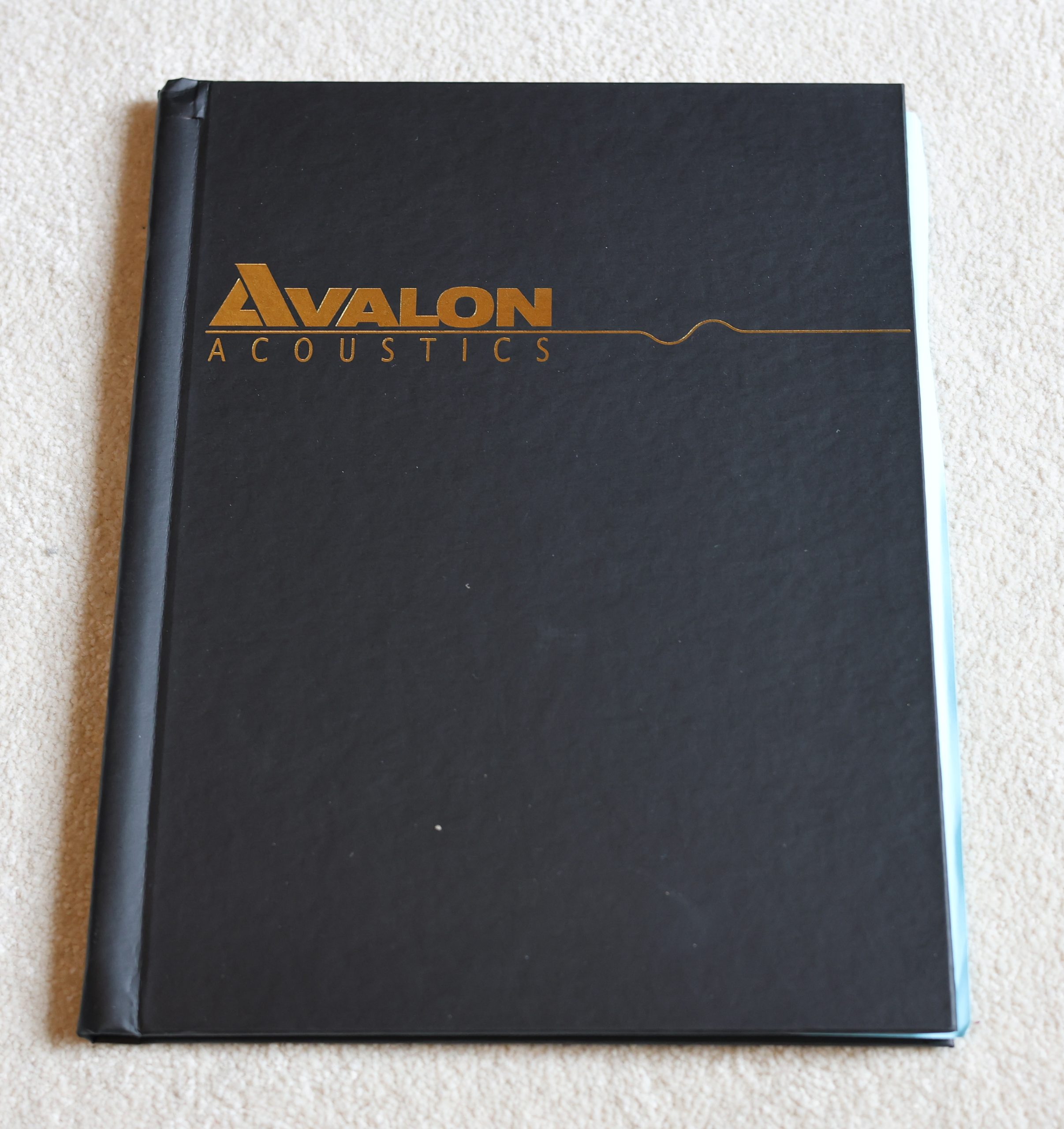 Avalon Idea mk2 Loudspeakers @ Audio Therapy