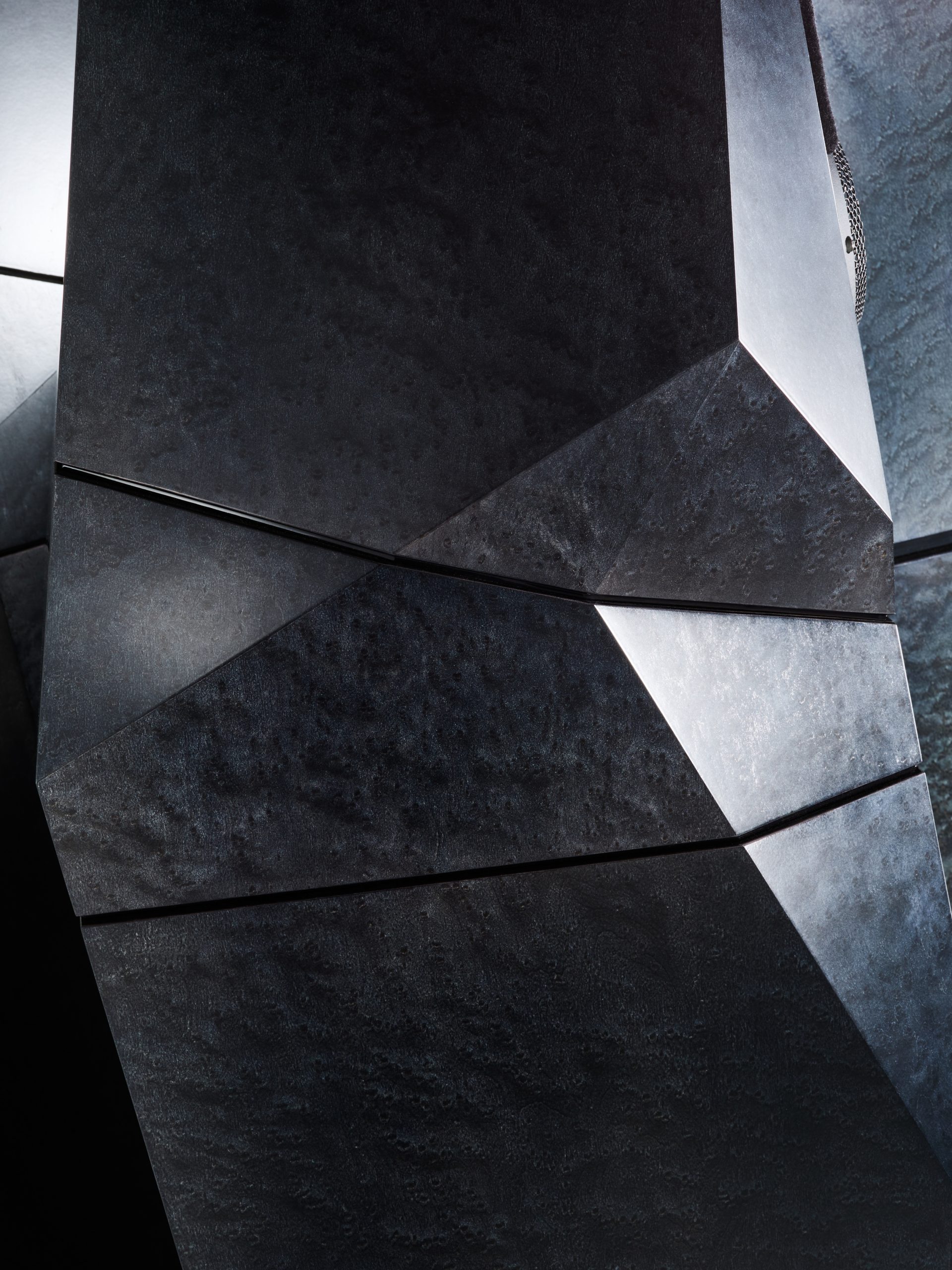 Avalon Acoustics SAGA Signature Loudspeakers @ Audio Therapy