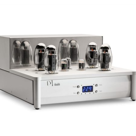 Doshi Audio Evolution Monoblock Power Amplifier