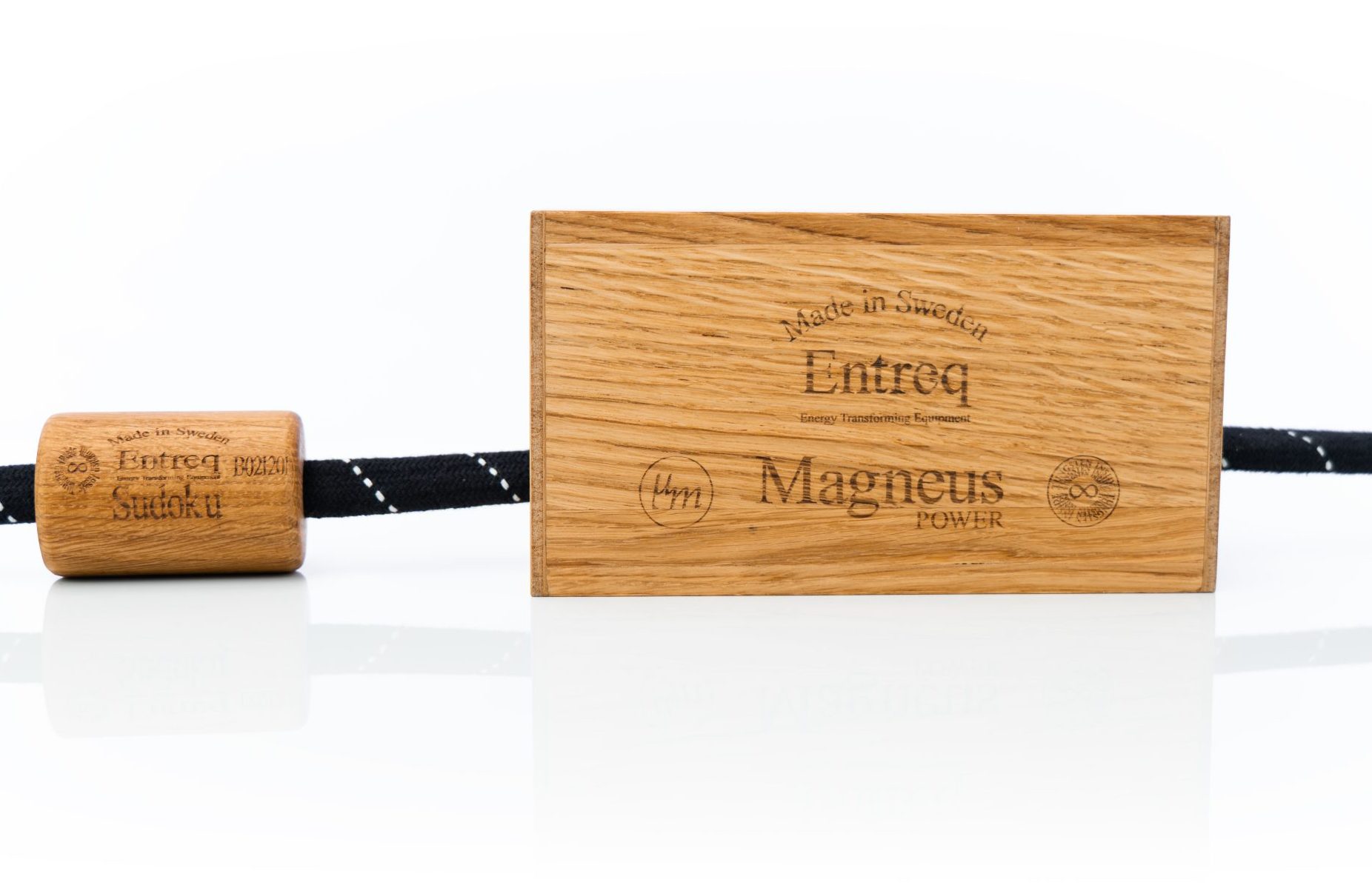 Entreq Magneus Power @ Audio Therapy