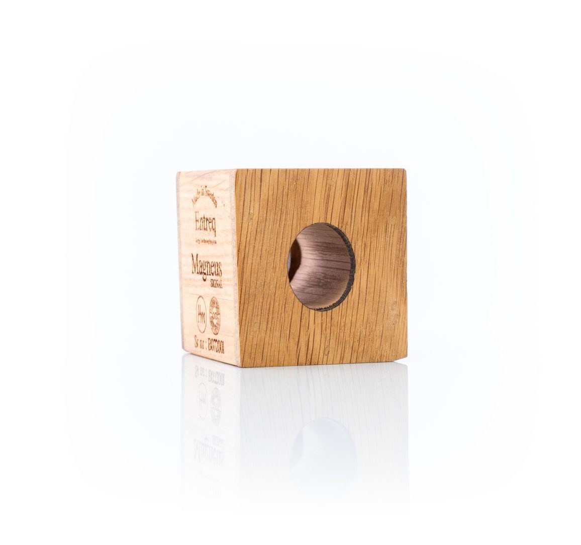 Entreq Magneus Signal @ Audio Therapy