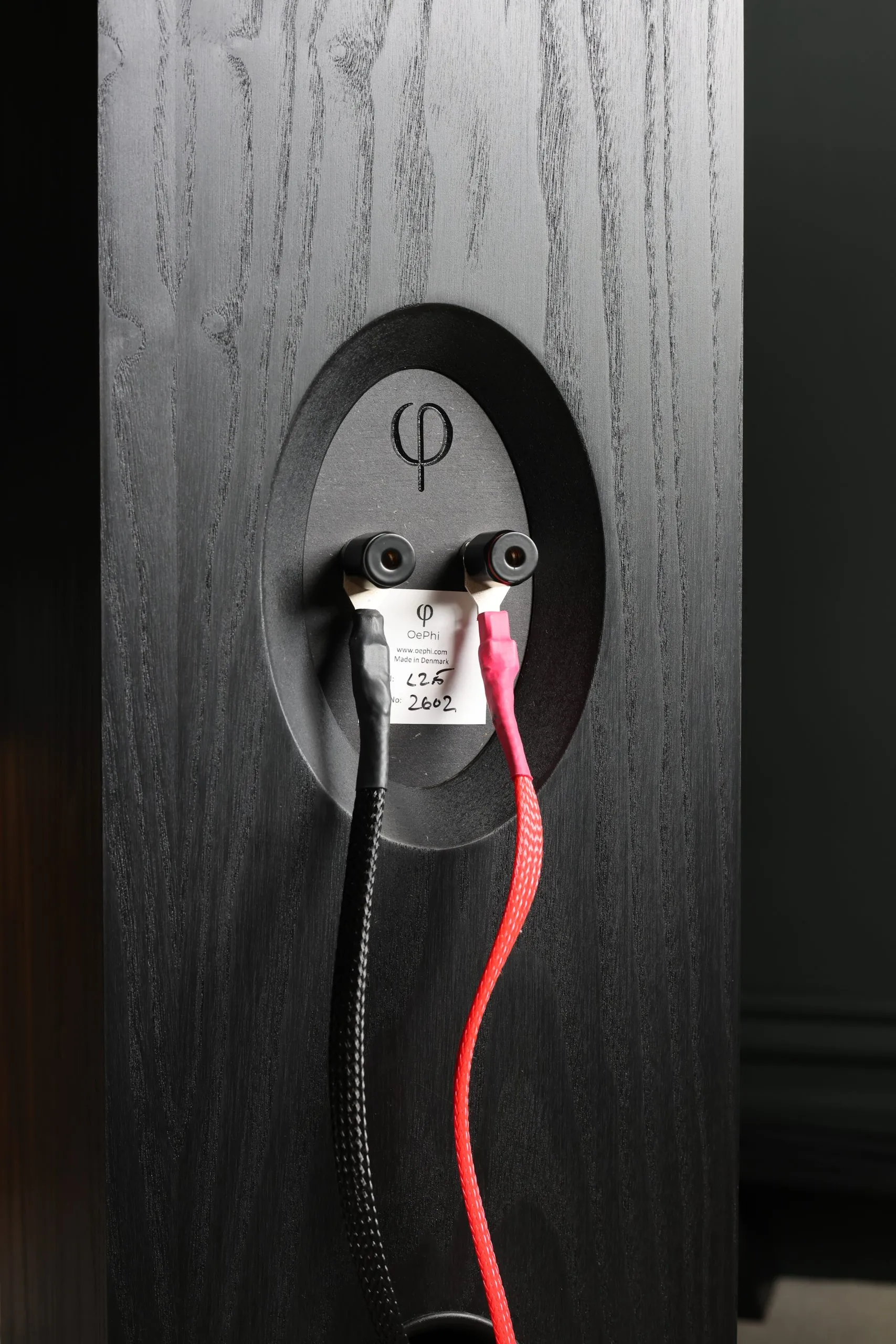 Red and black cables going into the back of an OePhi loudspeaker.
